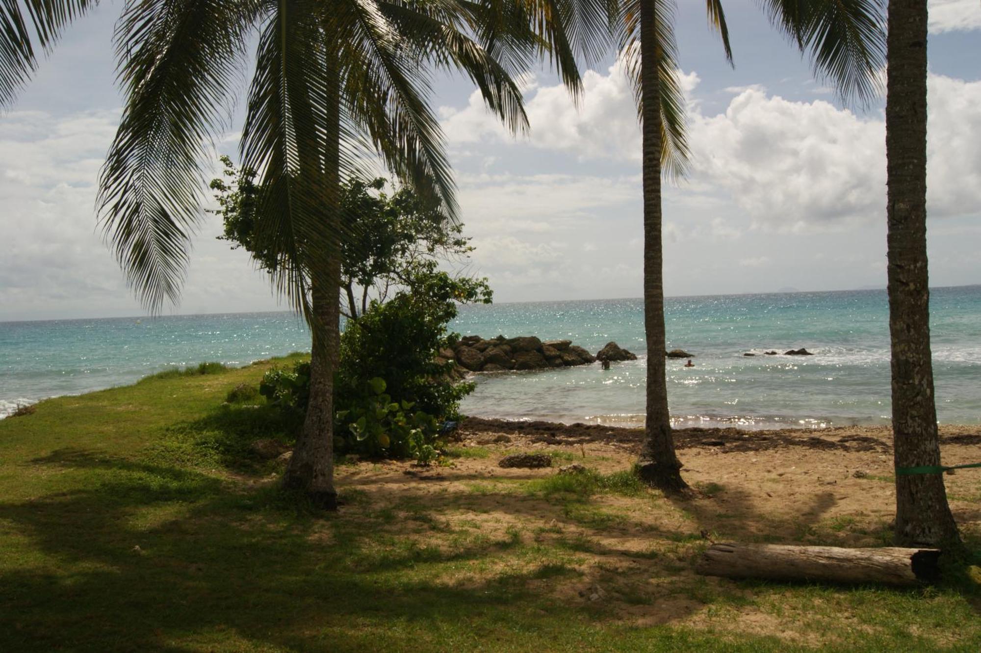 Caribanou Apartment Le Gosier  Luaran gambar